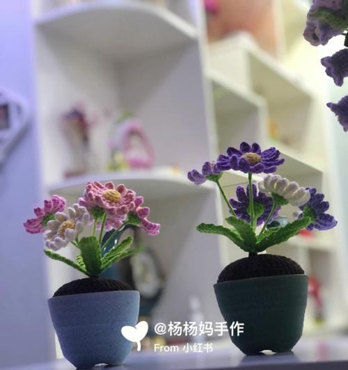 盆栽小雏菊养护技巧（打造美丽清新的室内花园，从小雏菊开始）