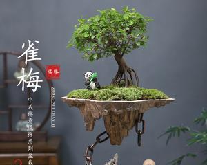 盆栽老桩制作方法（打造独具特色的盆景艺术品）