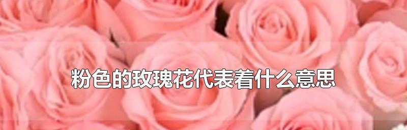 送玫瑰花的寓意（多种颜色的玫瑰花代表的不同情感）