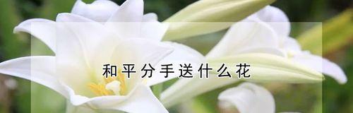 火花兰花语（探究火花兰的神秘花语及其象征意义）