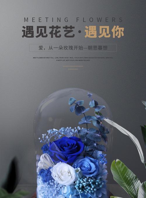 探秘蓝色妖姬玫瑰花的神秘意义（蓝色妖姬玫瑰花的由来及其象征意义）