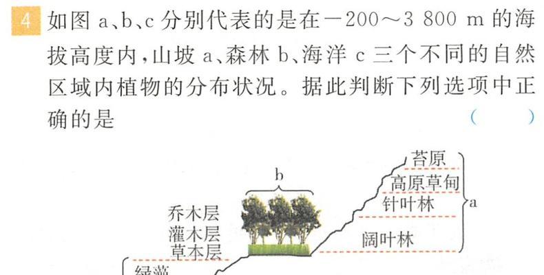 乔木和灌木的区别（从树干、高度、枝干等方面来看）