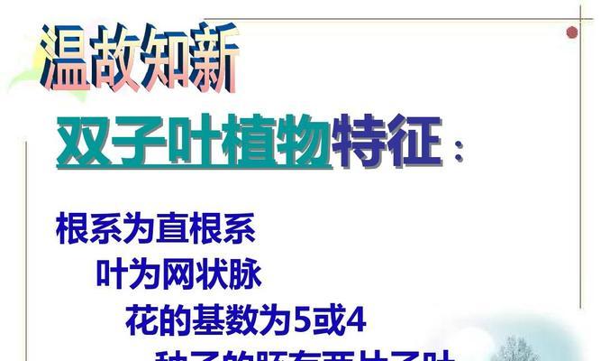 双子叶植物与单子叶植物的区别（探究两种植物分类的特点与差异）