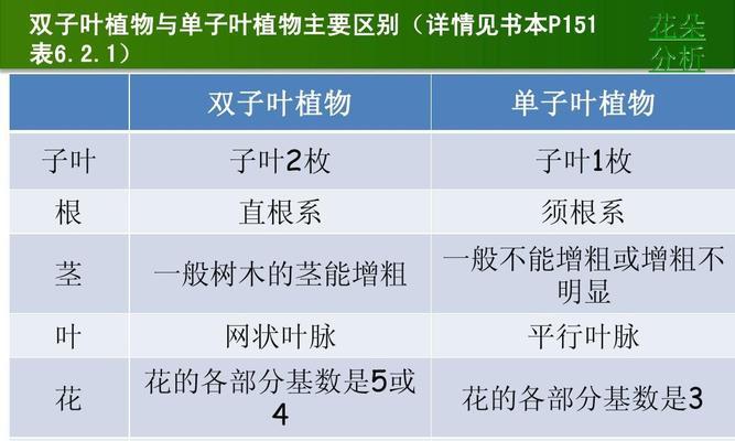 单子叶植物与双子叶植物的区别（探究单子叶植物与双子叶植物的生命特征及适应环境）