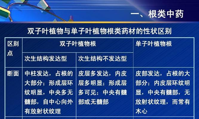 单子叶植物与双子叶植物的区别（探究单子叶植物与双子叶植物的生命特征及适应环境）