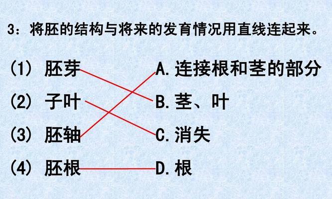 植物种子的形成与发育（了解种子的起源和演化，探究种子的形成过程）