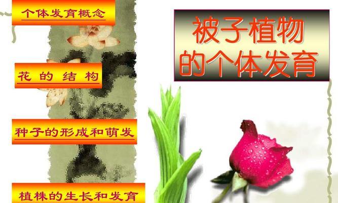 植物种子的形成与发育（了解种子的起源和演化，探究种子的形成过程）