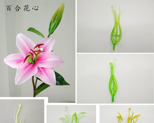 百合花开，花蕊摘去（为什么要摘下百合花的花蕊？）