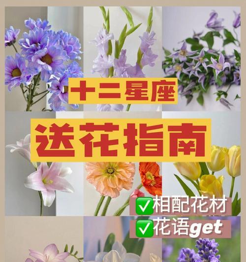 深情浪漫，以玫瑰花为主题的花语解读（用玫瑰花传递深情，感受浪漫之美）