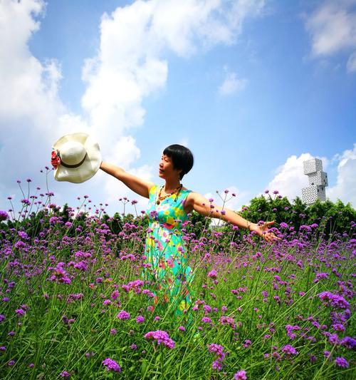 柳叶马鞭草花语的深意（探究柳叶马鞭草的花语与象征意义）