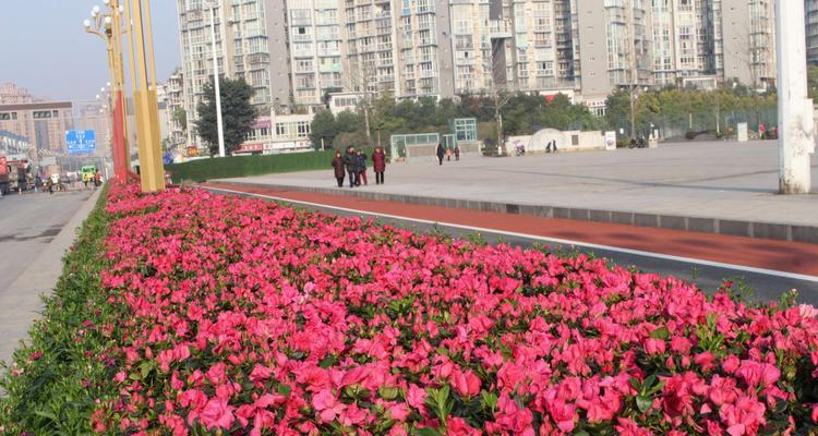 以鲜花代表欢迎回家（花束传达温馨回家的祝福）