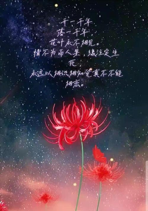 疯狂之花（疯狂之花探索狂热与无畏的象征——蔷薇花）