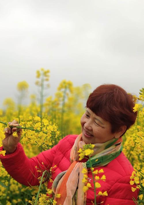 加油的花语——以向日葵为例（阳光的力量，勇往直前）