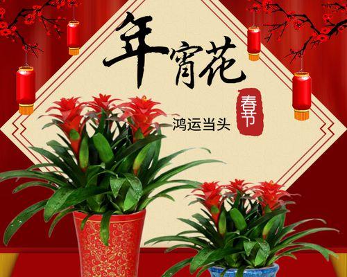 迎春花卉的盛宴（品味春节花卉文化）