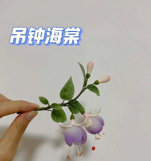 吊钟海棠花语——唤醒沉睡的爱情（以花为媒）