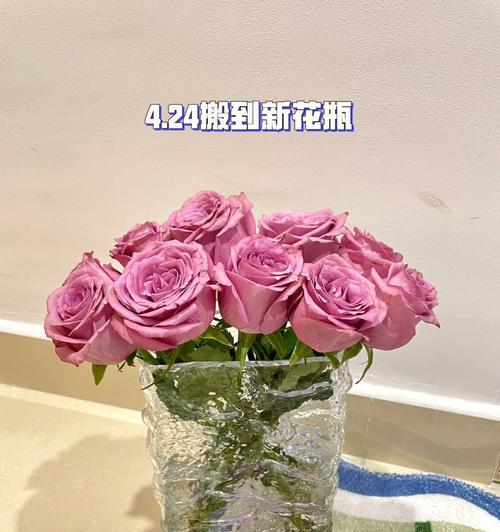 九星蓝狐玫瑰花语的美丽与寓意（一朵花的九种花语）