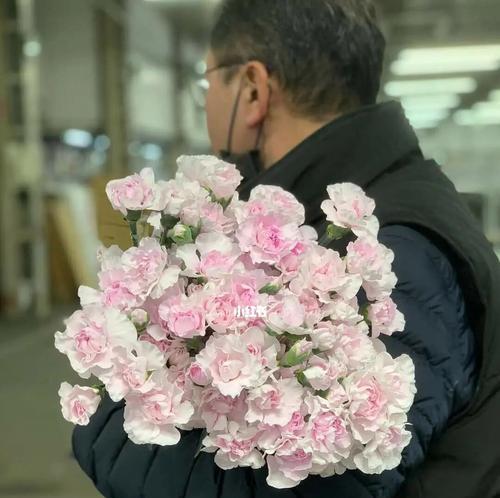 多头康乃馨-花朵背后的多样之美（揭秘多头康乃馨的独特魅力与象征意义）