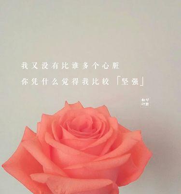 坚强之花（用花朵来表达坚强的意义与力量）