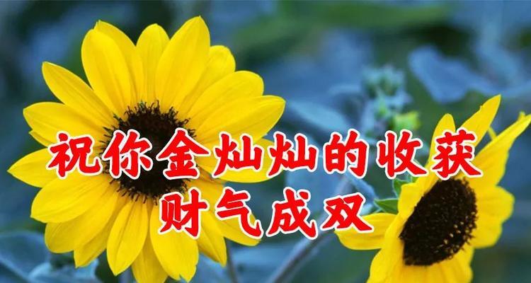 花开幸运花开好运（探寻花语的神秘力量）