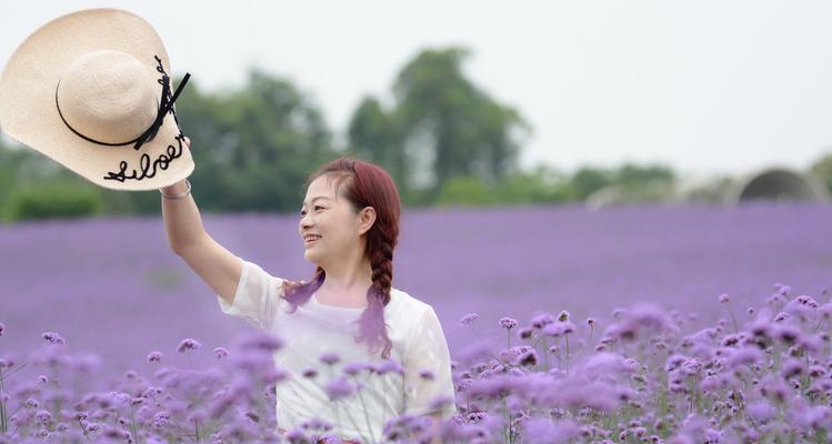 薰衣草花语与寓意——送给特定人的最佳选择（薰衣草的香气）