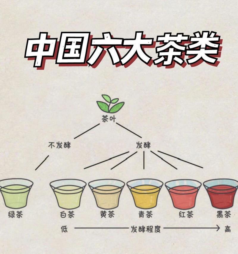 四季茶花花语与意义（四季茶花花语解析）