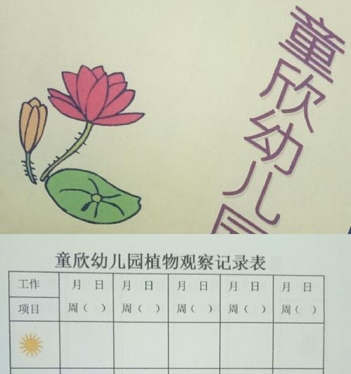 彩叶草种子发芽全攻略（轻松掌握彩叶草种子发芽的窍门）