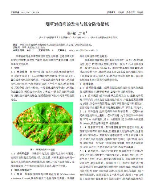 草莓病虫害防治技术与方法措施（农药使用的注意事项）