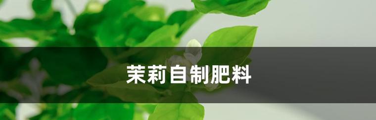 废油肥料的可行性分析（从环保）