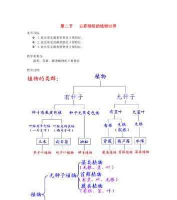 分葱的种植技巧和注意事项（培育丰硕产量的分葱）