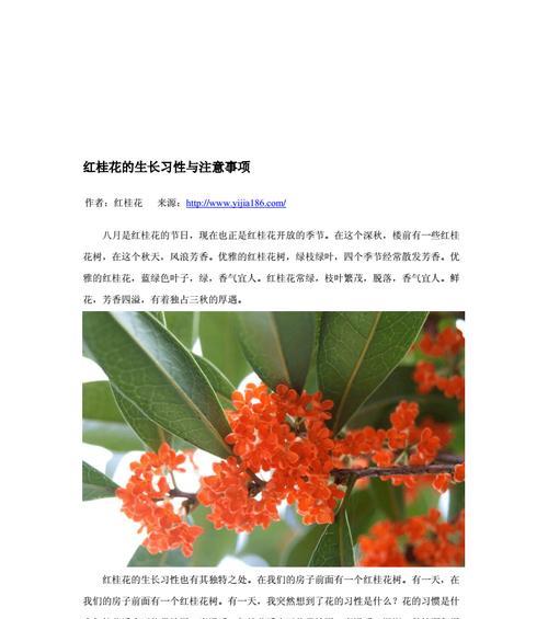 如何正确换土养护桂花（桂花换土时间）