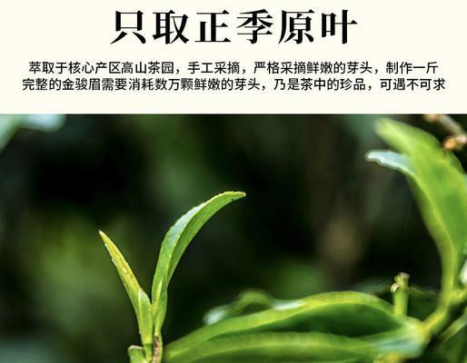 高山肉桂——香气独特的茶之珍品（揭秘高山肉桂的种类）