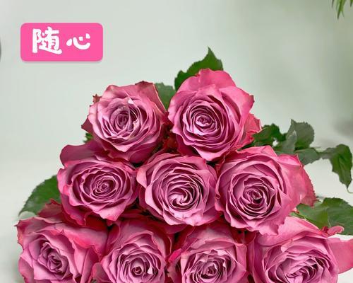 多头玫瑰九星蓝狐花语（用九星蓝狐表达多重情感）