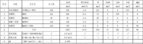 如何正确使用水草营养液（掌握加肥周期）