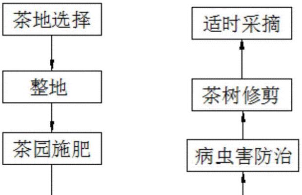 茶花苗的上盆和养护方法（让您的茶花苗生长茁壮的秘诀）