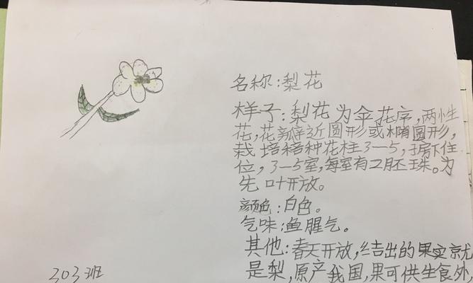 葫芦催花时间和方法（让葫芦开得更早更鲜艳的窍门）