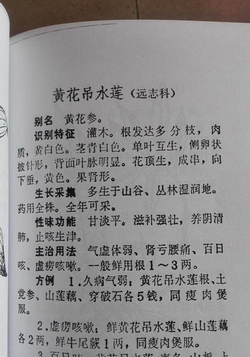 葫芦黄叶病的成因与治疗（解析葫芦黄叶病的原因与处理方法）