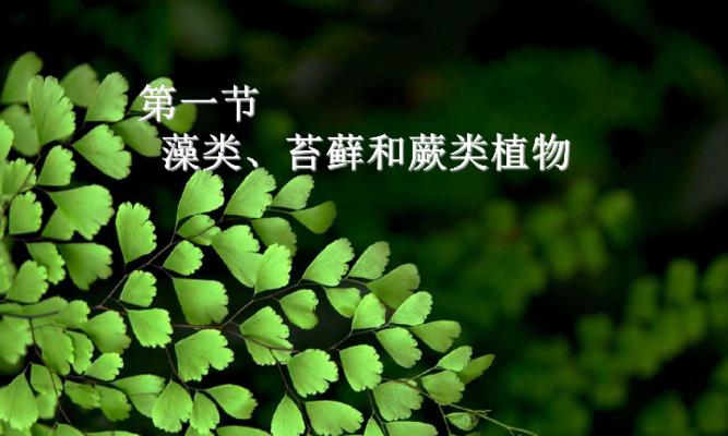 葫芦藓并非藻类植物（揭秘葫芦藓的真正身份）