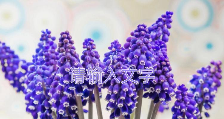 风信子花语及其特性（探秘风信子的花语和生长特点）