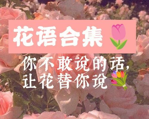 以蓝桉的花语（传递温暖与祝福的以蓝桉花束）