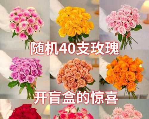 玫瑰花语颜色代表什么？不同颜色的玫瑰花语有何不同？