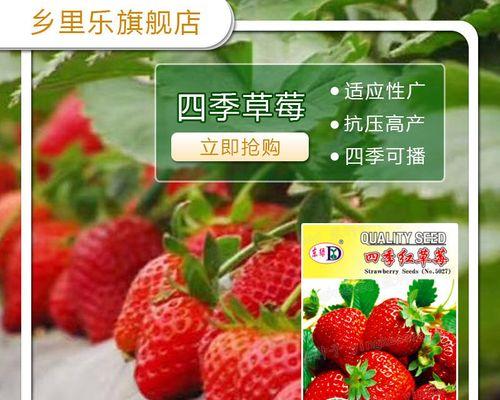 红色种子的植物有哪些？它们的生长环境和特点是什么？