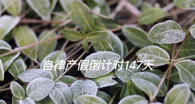 象征自律的植物有哪些？它们各自代表什么含义？