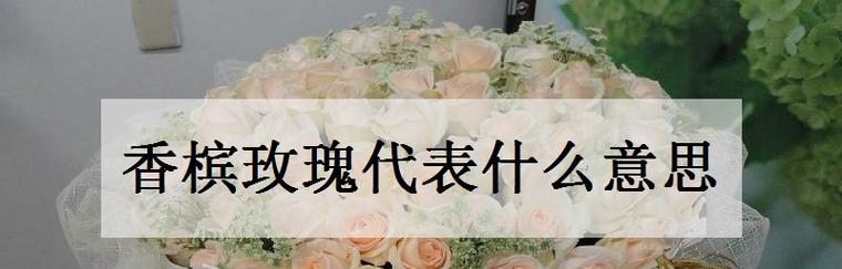 26朵玫瑰花语是什么意思？送花时需要注意什么？