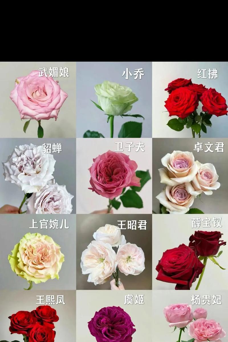 65个玫瑰花代表什么含义？如何正确读出这种花语？