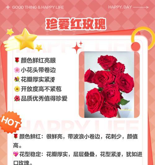 25朵红玫瑰花的含义是什么？