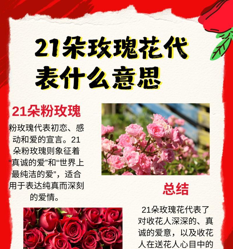 1098朵玫瑰花代表什么含义？如何用图片简单表达这种花语？