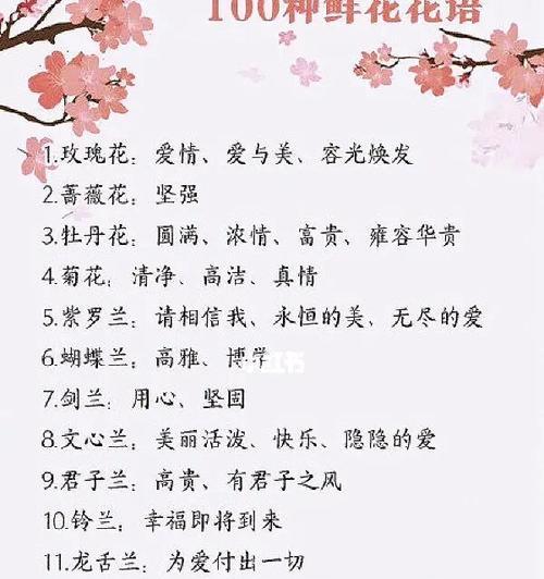 213朵玫瑰花的花语是什么？图片展示的含义有哪些？