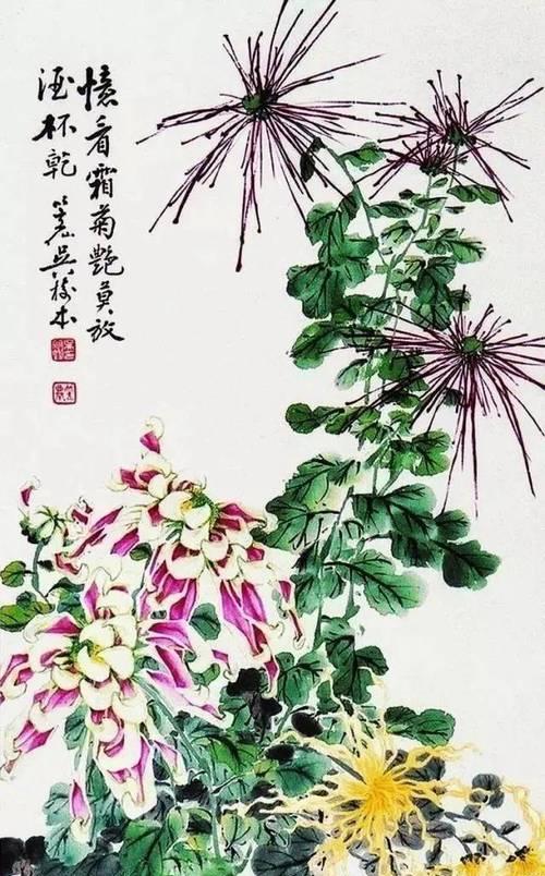 名人如何赞赏菊花？有哪些简短的菊花语录？