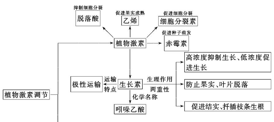 植物激素的来源是什么？如何正确使用植物激素？