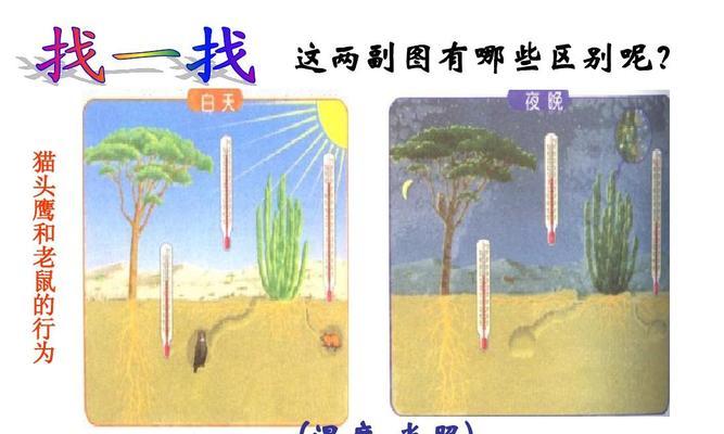 植物的作用有哪些？它们对环境有何影响？